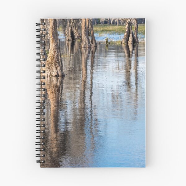 Item preview, Lake Louisa State Park, Florida 2 designed and sold by jrtwynam.