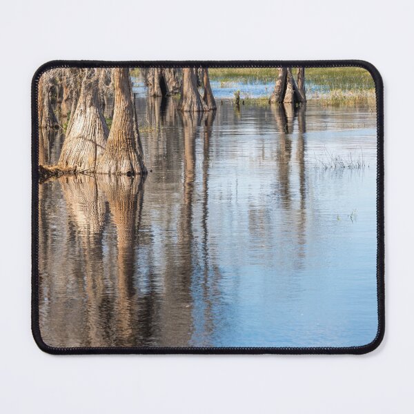 Item preview, Lake Louisa State Park, Florida 2 designed and sold by jrtwynam.
