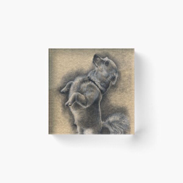 Item preview, Charcoal Companions: Walter designed and sold by NoelleMBrooks.