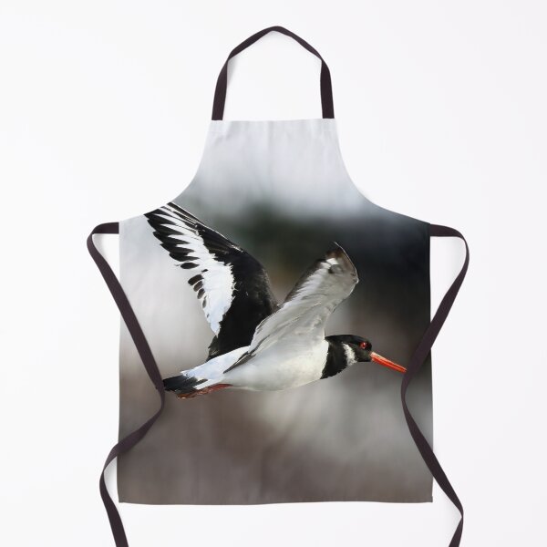 Item preview, Oystercatcher in Flight  designed and sold by Tom McPherson Photography.