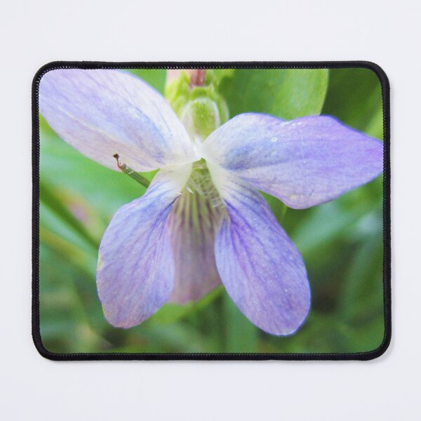 Item preview, Hidden Gem designed and sold by HeWritesWLight.