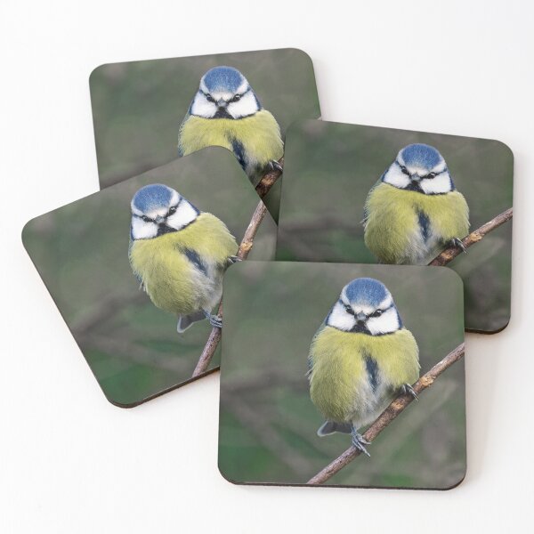 Item preview, Bluetit designed and sold by Tom McPherson Photography.