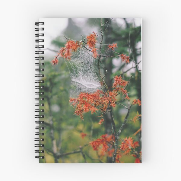Item preview, Spiderweb on a juniper designed and sold by riku05830.