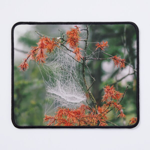 Item preview, Spiderweb on a juniper designed and sold by riku05830.