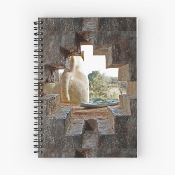 Item preview, Tower Window with Odd View, Chittorgarh, Rajasthan, India designed and sold by kojak67.