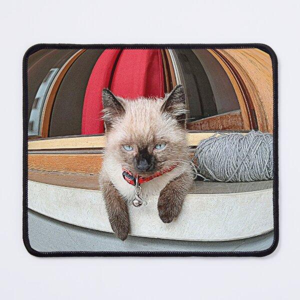 Item preview, SIAMESE CAT designed and sold by Gmzago.