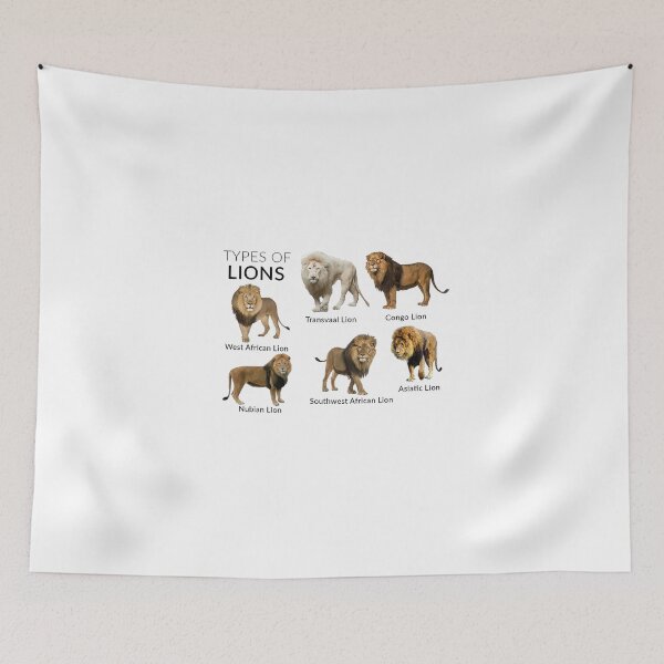 Item preview, TYPES OF LIONS designed and sold by AzalaiBubbles.