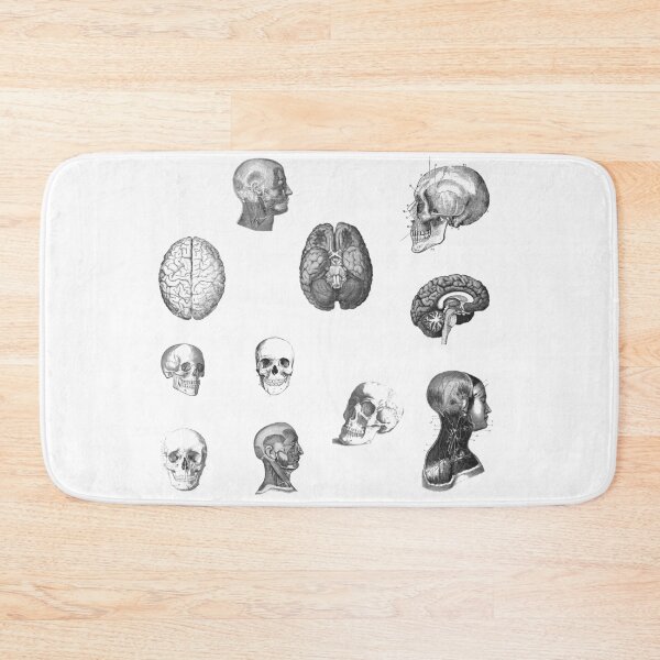 Item preview, Vintage Human head brain Anatomy 11 pieces set designed and sold by EmeraldeaArt.