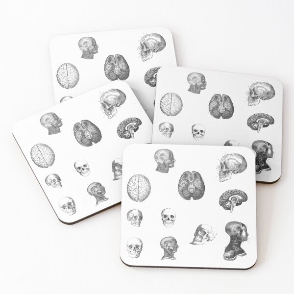 Item preview, Vintage Human head brain Anatomy 11 pieces set designed and sold by EmeraldeaArt.