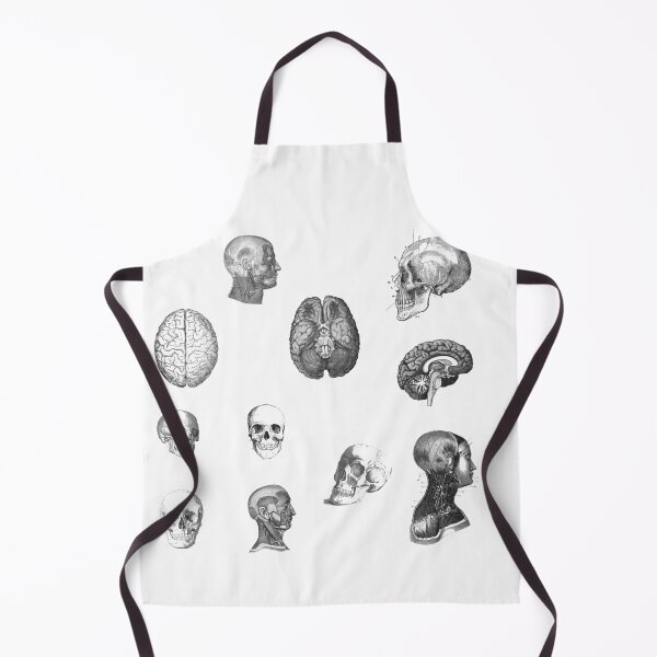 Item preview, Vintage Human head brain Anatomy 11 pieces set designed and sold by EmeraldeaArt.