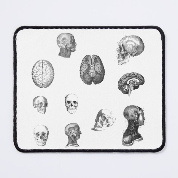 Item preview, Vintage Human head brain Anatomy 11 pieces set designed and sold by EmeraldeaArt.
