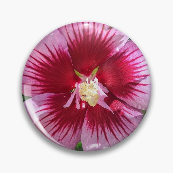 Item preview, Beautiful Rose of Sharon Bloom  designed and sold by FloresInColor1.
