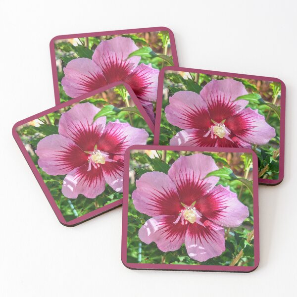 Aperçu de l'œuvre Belle floraison de la rose de Sharon créée et vendue par FloresInColor1.