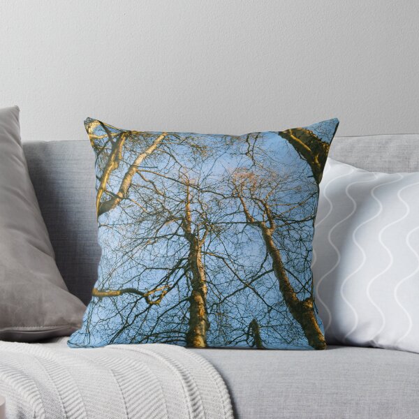 Artikelvorschau, No More Leaves entworfen und verkauft von Cayton Cox.