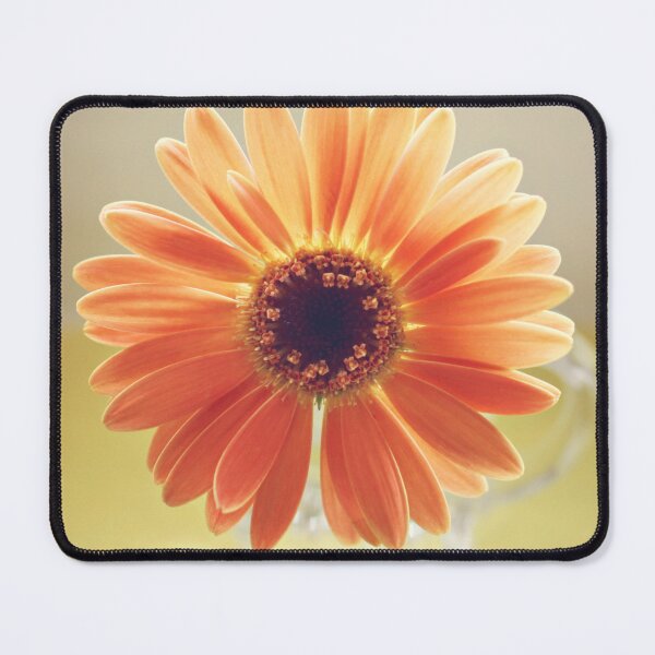 Item preview, Orange Daisy designed and sold by Hilary Walker.