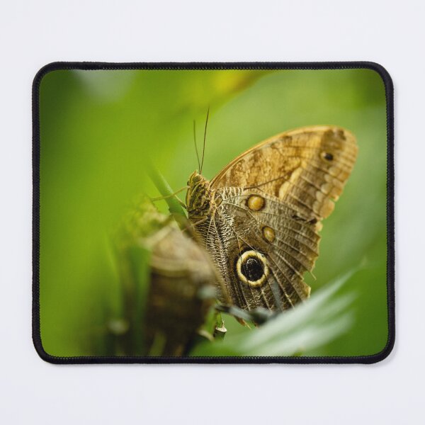 Item preview, Owl Butterfly Portrait designed and sold by Boyango.