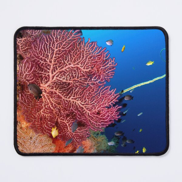 Item preview, Tropical coral reef designed and sold by slonchak.
