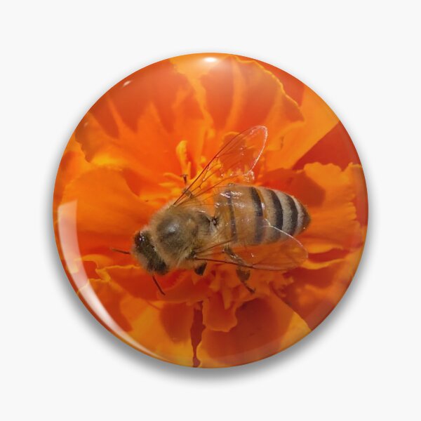 Item preview, Bee in flower designed and sold by Courtney Croxall.