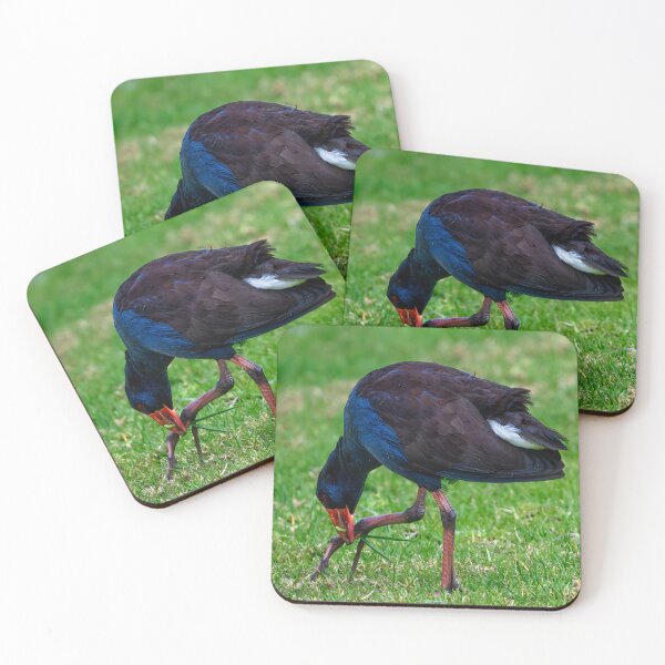 Item preview, Australasian Swamphen with Grass designed and sold by Jan Fijolek.