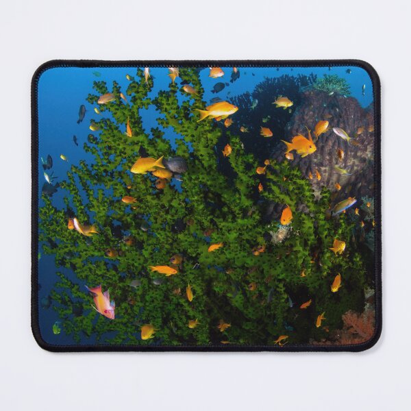 Item preview, Natural Fish Bowl designed and sold by slonchak.