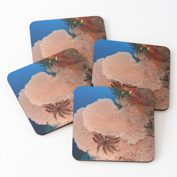 Item preview, Reef wall with fan corals designed and sold by slonchak.