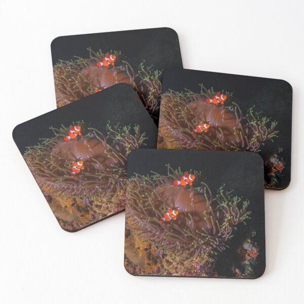 Item preview, Finding Nemos designed and sold by slonchak.
