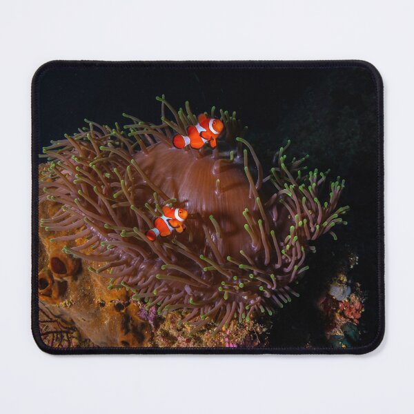Item preview, Finding Nemos designed and sold by slonchak.