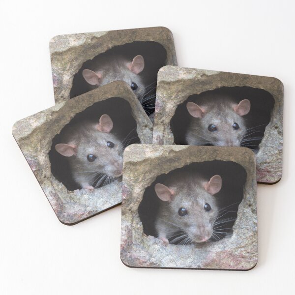 Item preview, rat in hole  designed and sold by mindgoop.