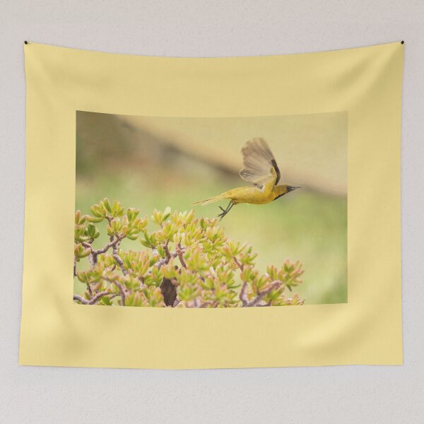 Item preview, Oriole en vuelo designed and sold by CarolM.