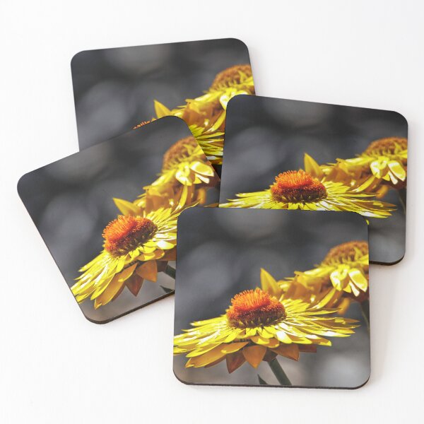 Item preview, Paper daisies. designed and sold by Ian Ramsay.
