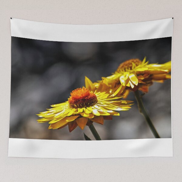 Item preview, Paper daisies. designed and sold by Ian Ramsay.
