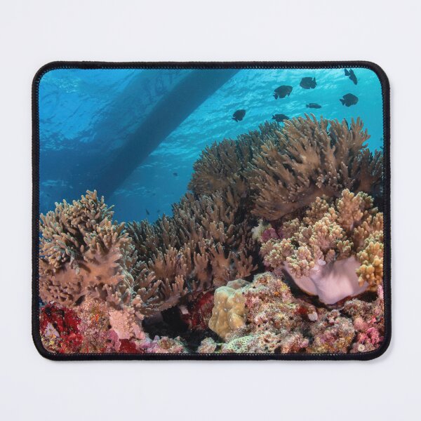 Item preview, Coral reef of the Philippines  designed and sold by slonchak.