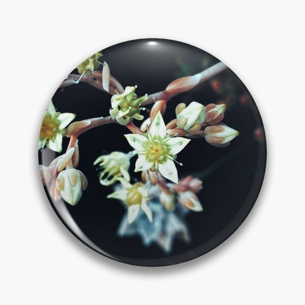 Item preview, Tiny details of a succulent star flower designed and sold by Kaegyn.