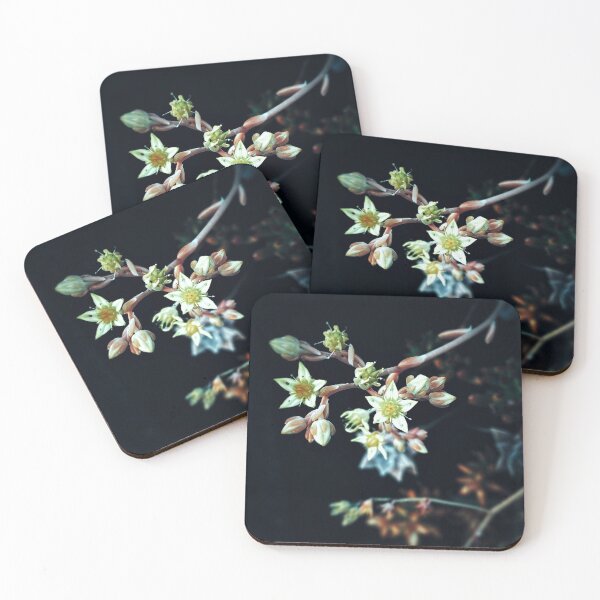 Item preview, Tiny details of a succulent star flower designed and sold by Kaegyn.