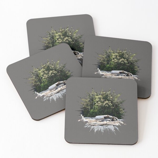 Item preview, Copy of Driftwood  designed and sold by EricT00.