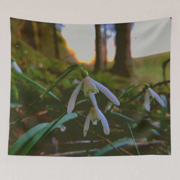 Item preview, about spring designed and sold by Julia  Kovtunyak.