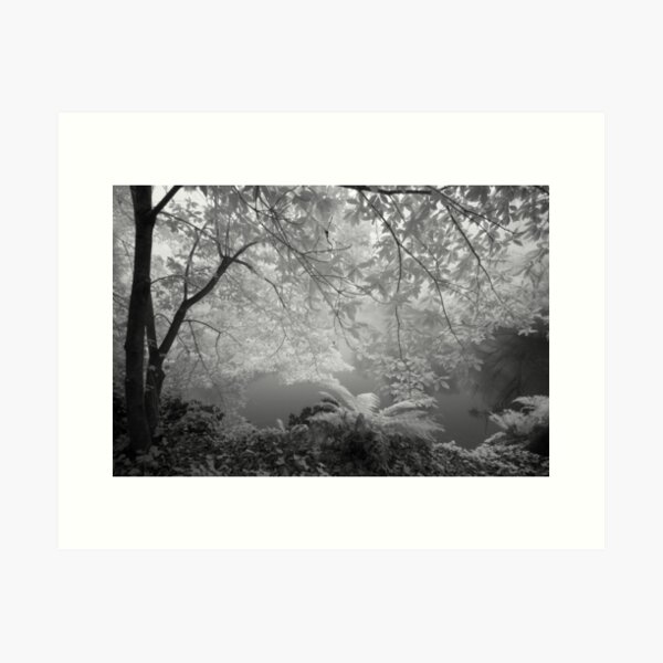 Item preview, Duck Pond in Mist designed and sold by Geoff Smith.
