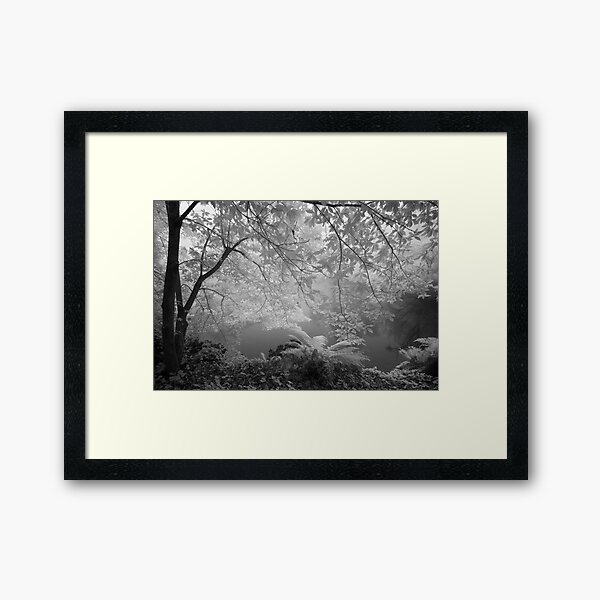Item preview, Duck Pond in Mist designed and sold by Geoff Smith.