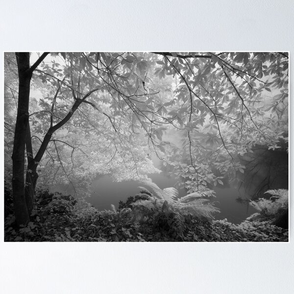 Item preview, Duck Pond in Mist designed and sold by Geoff Smith.