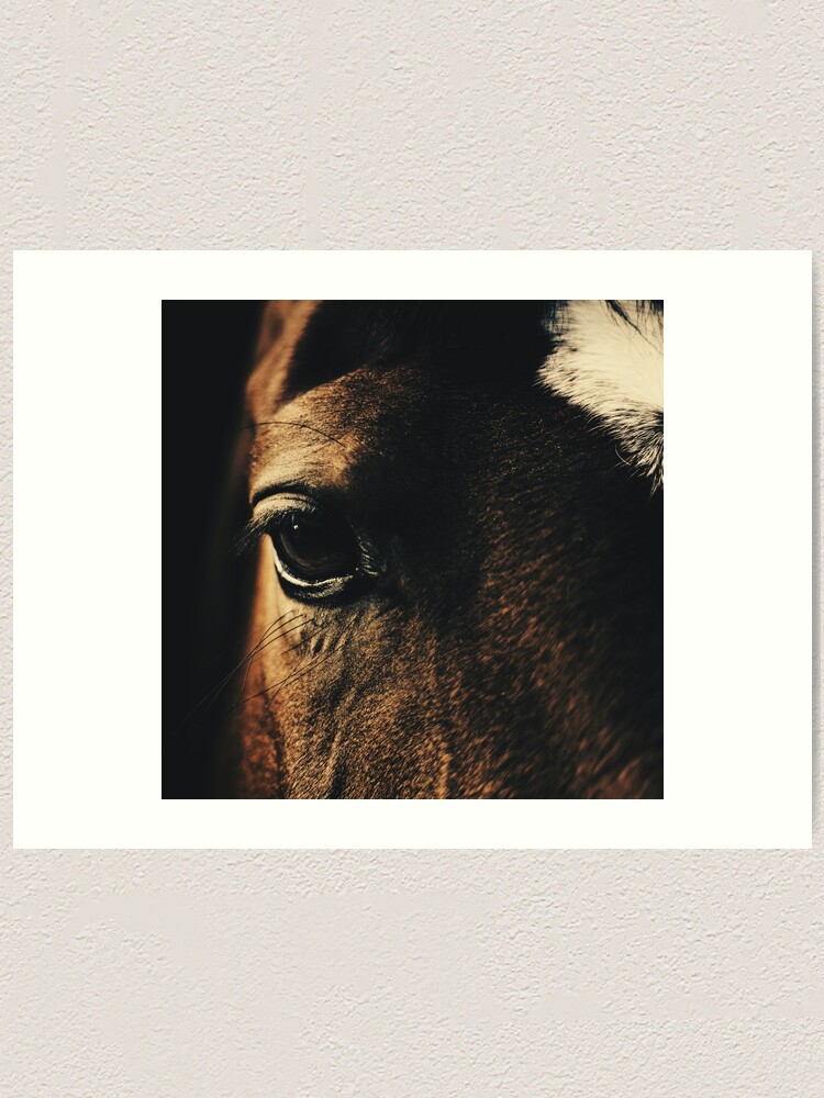 Alternate view of the window to the soul Art Print