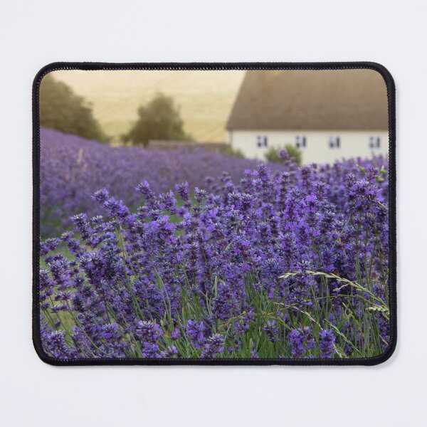 Item preview, The Cotswold lavender designed and sold by elena-jeffries.
