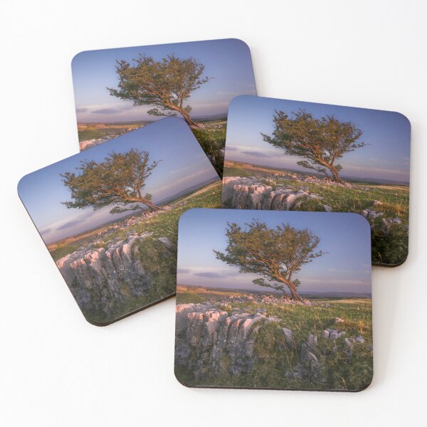 Item preview, Hawthorn tree at Ystradfellte designed and sold by Leighton Collins.