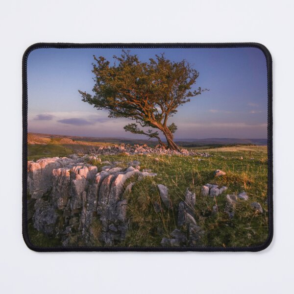 Item preview, Hawthorn tree at Ystradfellte designed and sold by Leighton Collins.