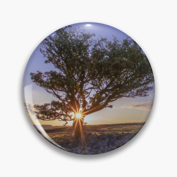 Item preview, Sunshine through the hawthorn tree designed and sold by Leighton Collins.