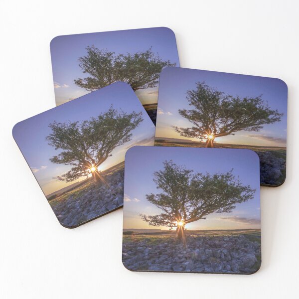 Item preview, Sunshine through the hawthorn tree designed and sold by Leighton Collins.