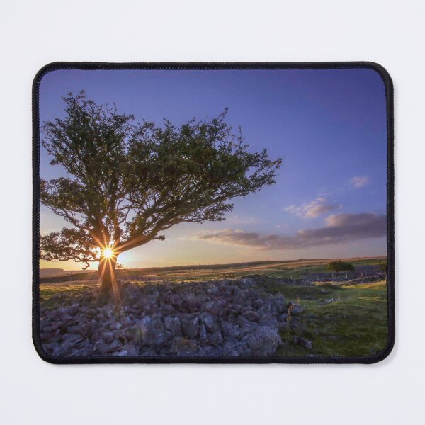 Item preview, Sunshine through the hawthorn tree designed and sold by Leighton Collins.