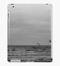 sea birds iPad Case/Skin