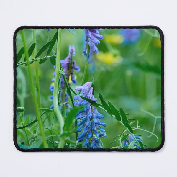 Item preview, Blues and purples. Tufted vetch designed and sold by Jouko Lehto Photography.
