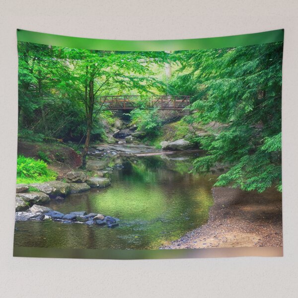 Item preview, Creek at Cooks Forest State Park - PA designed and sold by Kathy Weaver.