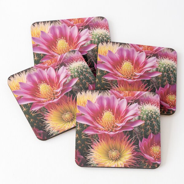 Item preview, Colorful Photographic Cactus designed and sold by HappyHavenStu.